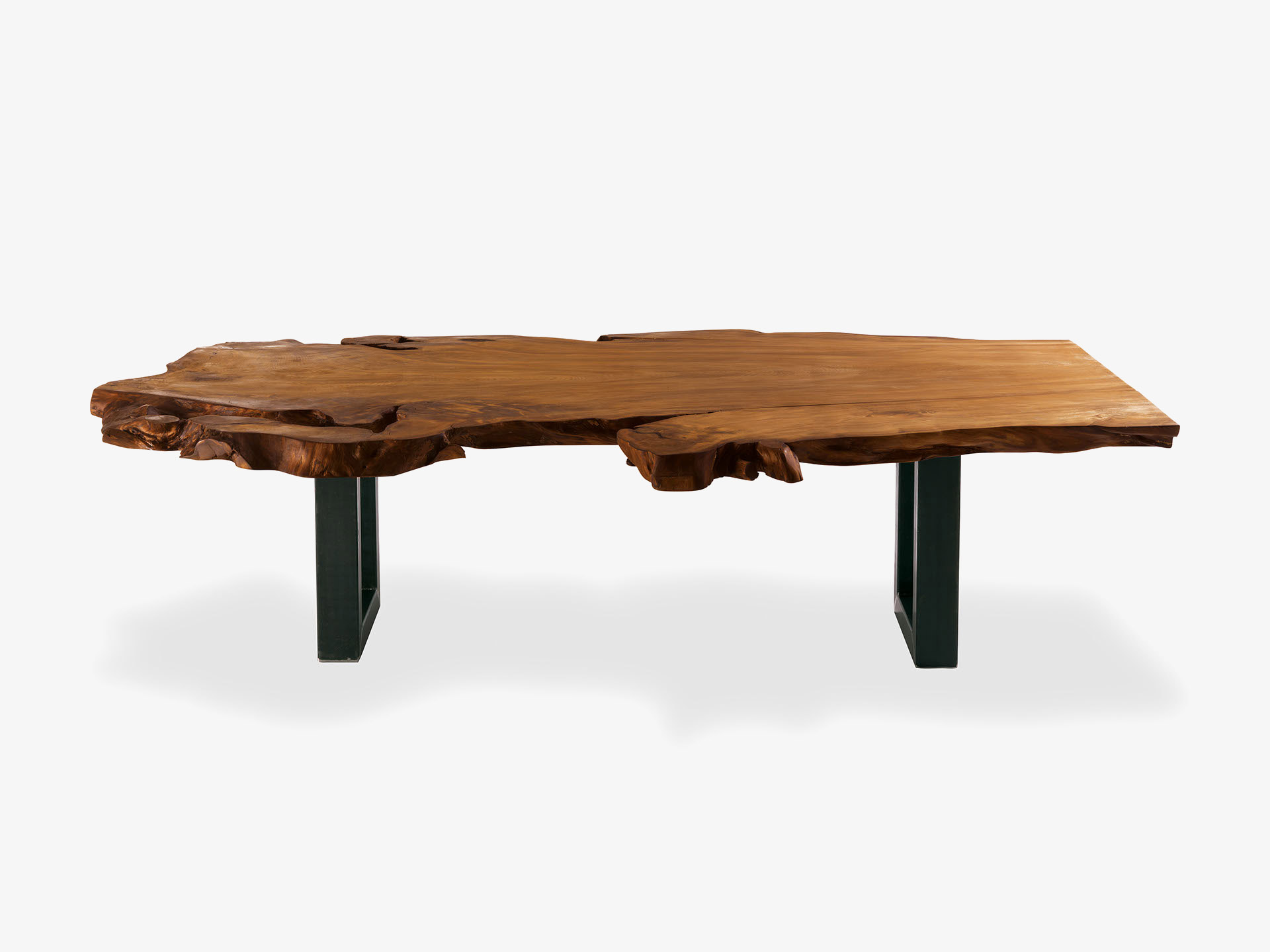 KAURI AUCKLAND Gallery 1