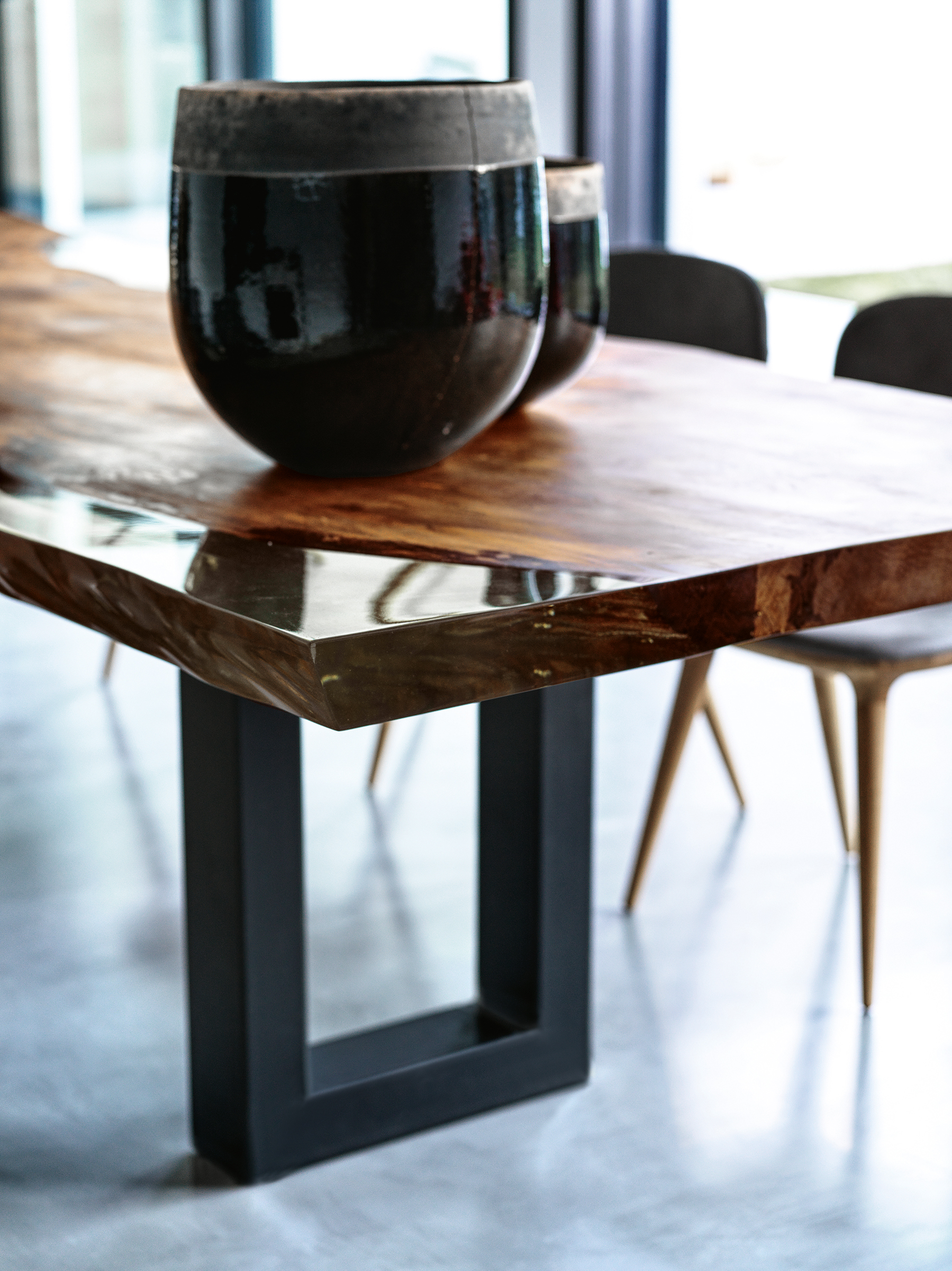 KAURI AUCKLAND Gallery 2