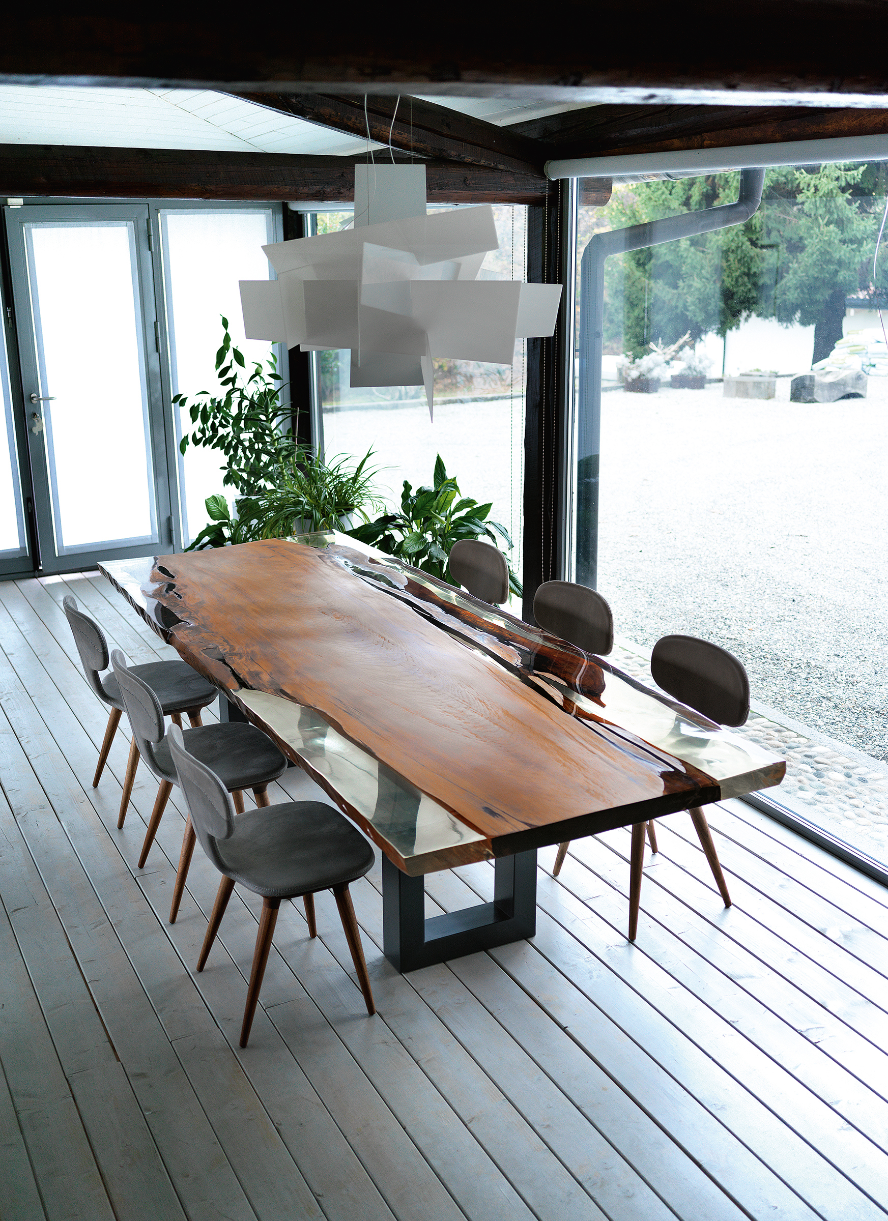 KAURI AUCKLAND Gallery 4