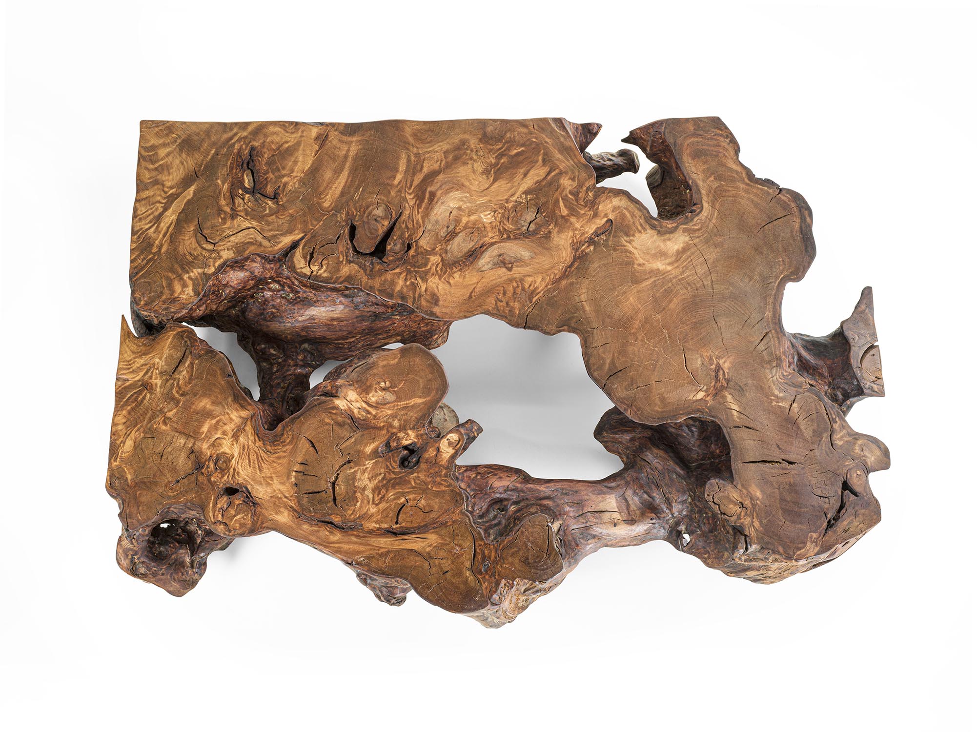 KAURI STUMP Gallery 10