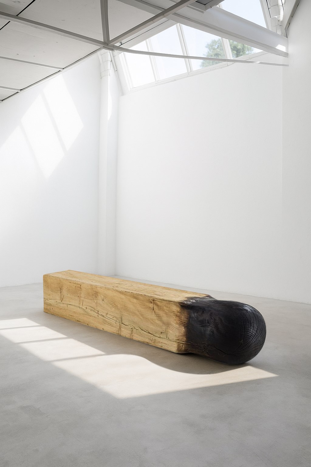 CE(D)RINO Gallery 9